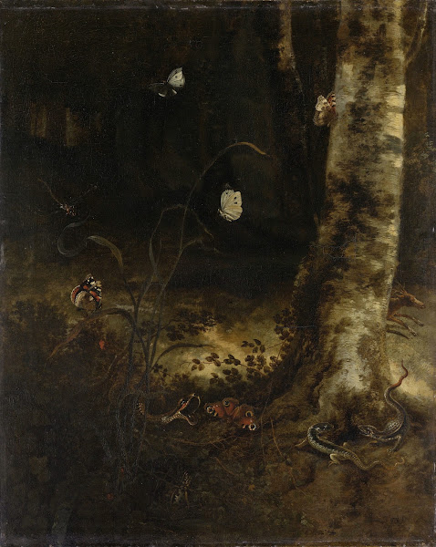 Forest Floor with a Snake Lizards Butterflies and other Insects 1650   1678