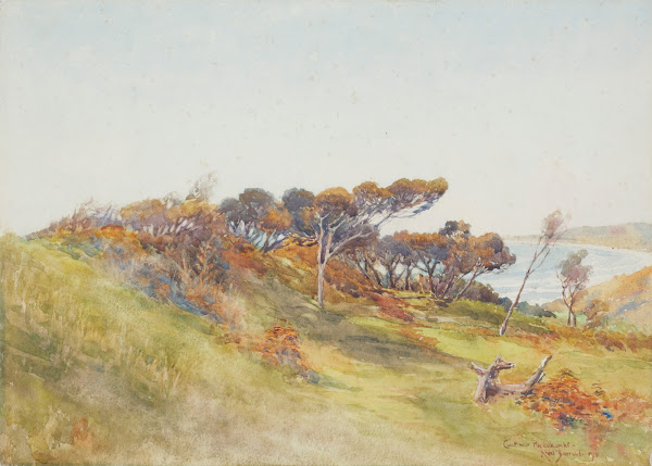 Coast near Paekakariki 1911