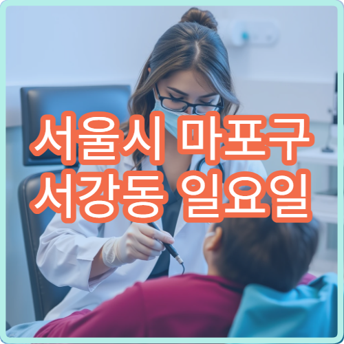 서울시 마포구 서강동 일요일 내과 소화불량 복부팽만 진료