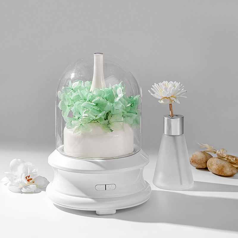 Aroma diffuser with LED light and spray function