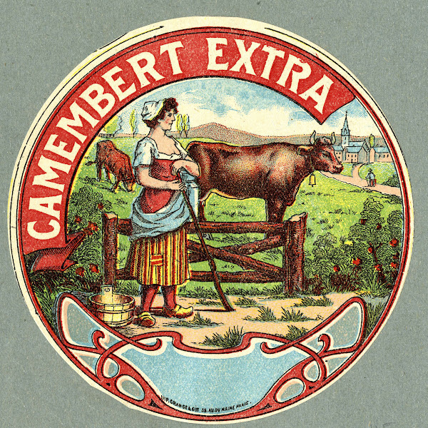 Camembert extra