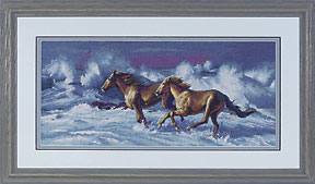 DIM35142 Wave Runners