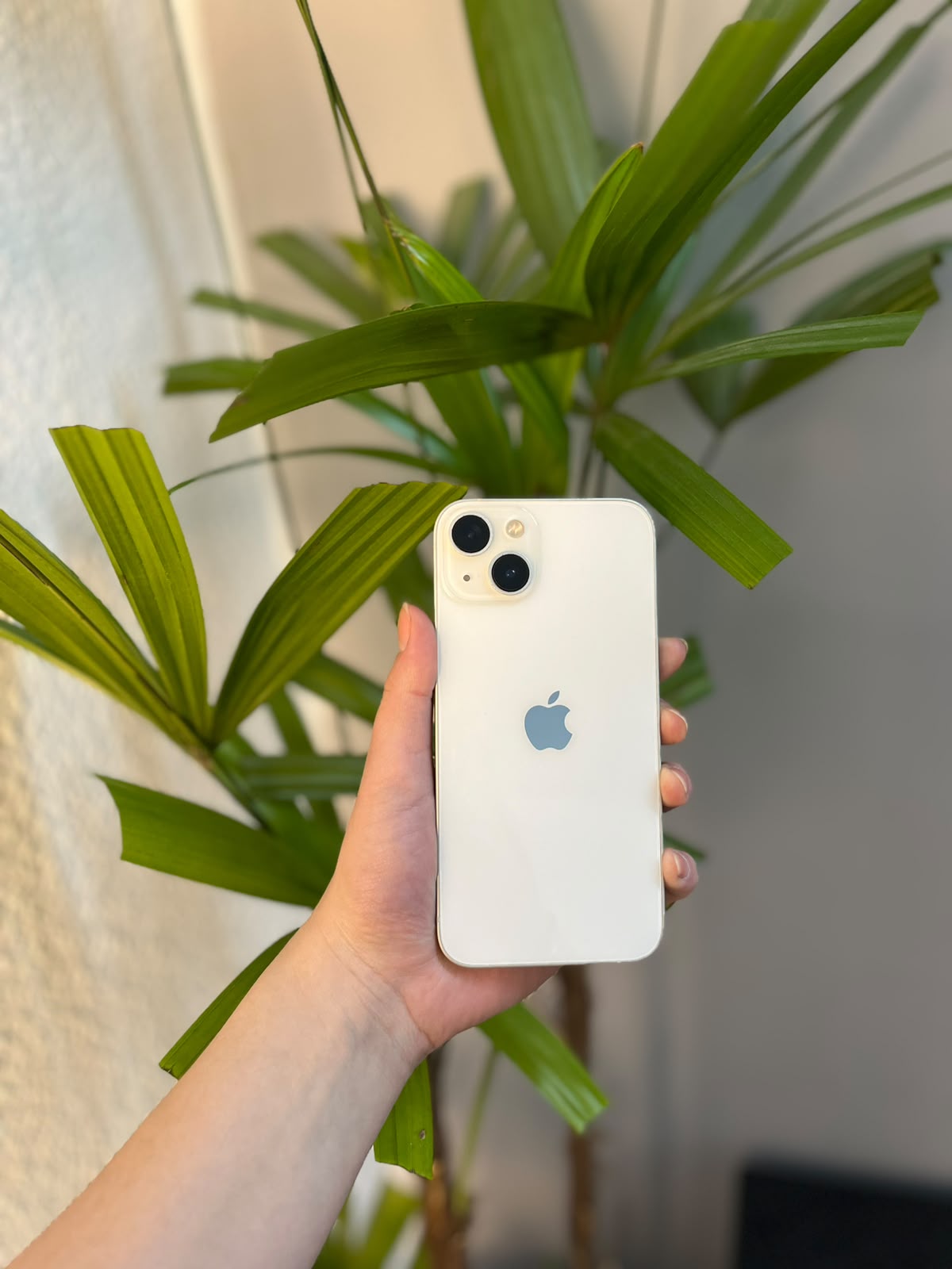 iPhone 13 128GB Branco