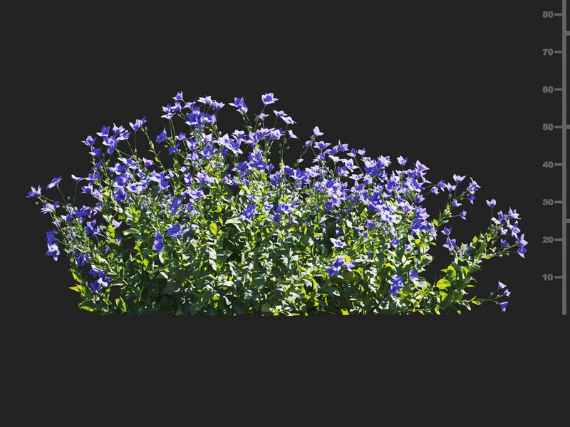 Maxtree - Plant Models Vol.112