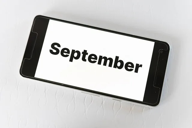 왜 월급날은 보통 25일일까?