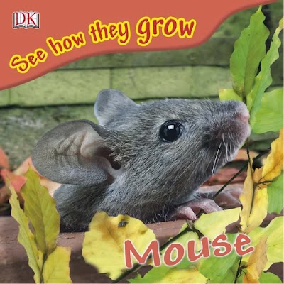 Mouse (See How They Grow)-DK Preschool