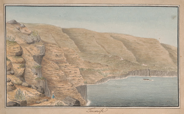 View of La Rambla de Castro near Port Orotava Tenerife 1825