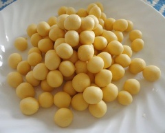 Chia bột và vê thành các viên nhỏ.