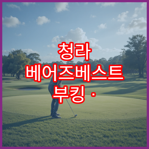 청라 베어즈베스트 부킹 · 코스 리뷰