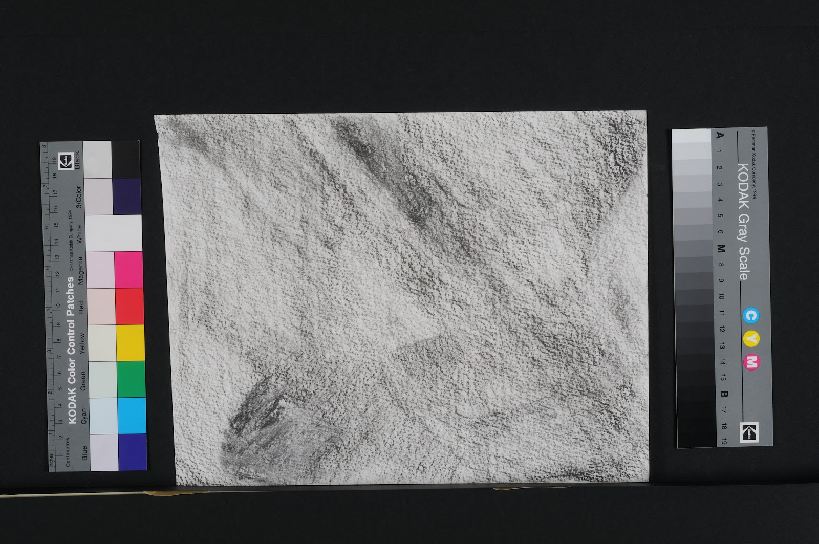charcoal drawings
