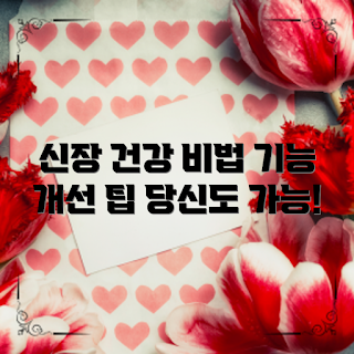 신장기능개선, 건강한 식습관, 신장 건강 관리, 시즌별 건강, 2023 웰빙 트렌드