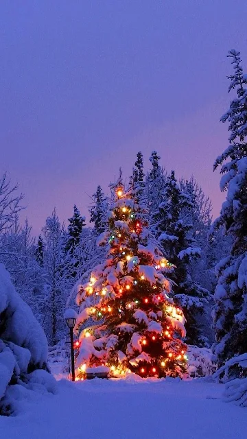 Snowy Decorated Christmas Tree