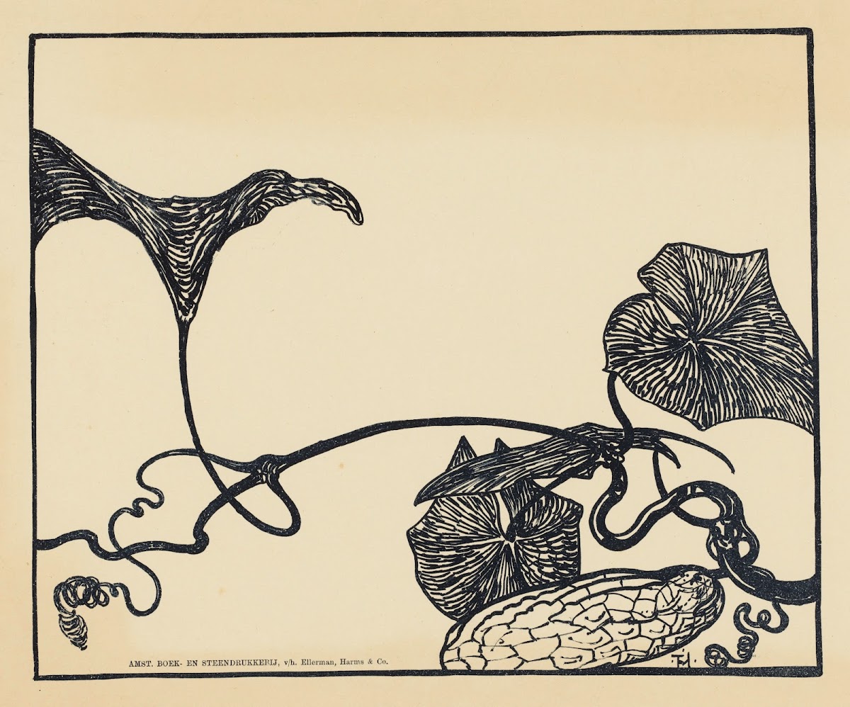 Augurkenplant 1898