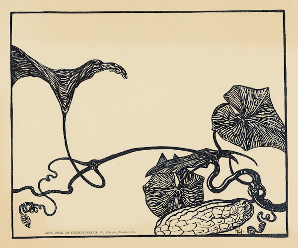 Augurkenplant 1898