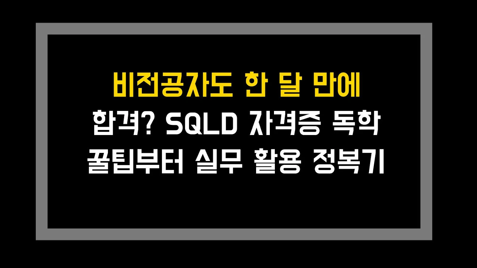 비전공자도 한 달 만에 합격? SQLD 자격증 독학 꿀팁부터 실무 활용 정복기