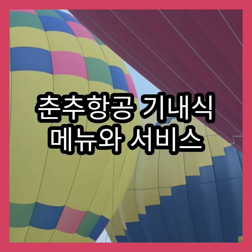 춘추항공 기내식 메뉴와 서비스 만족도 후기