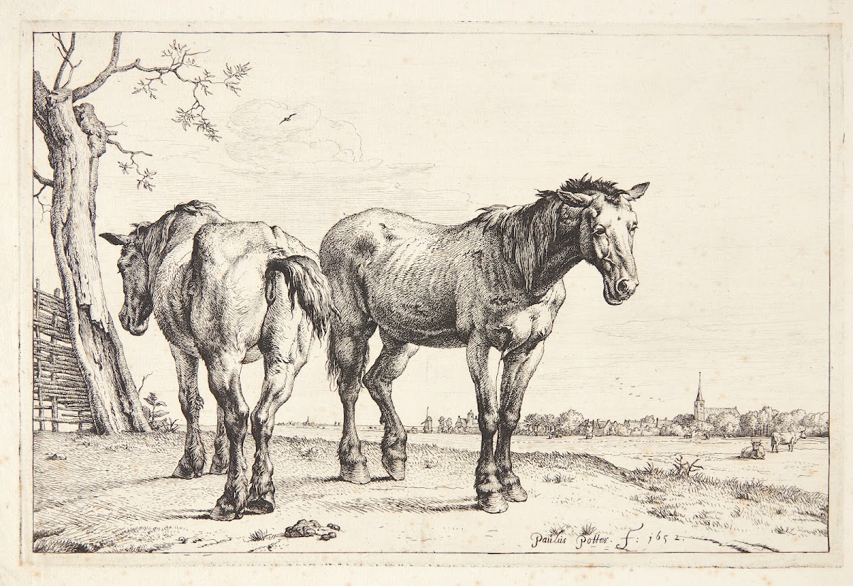 To pløjeheste 1652