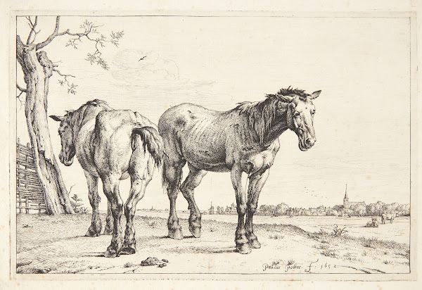 To pløjeheste 1652