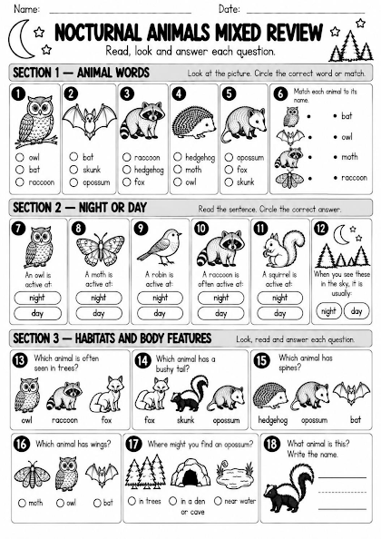 Nocturnal Animals Mixed Review Worksheet