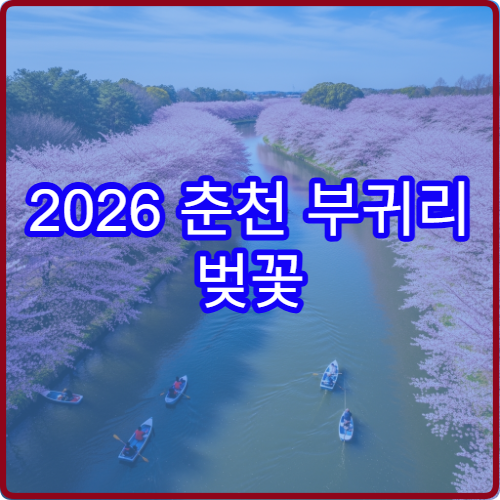 2026 춘천 부귀리 벚꽃 주말 인파 앱 실시간 확인 방법