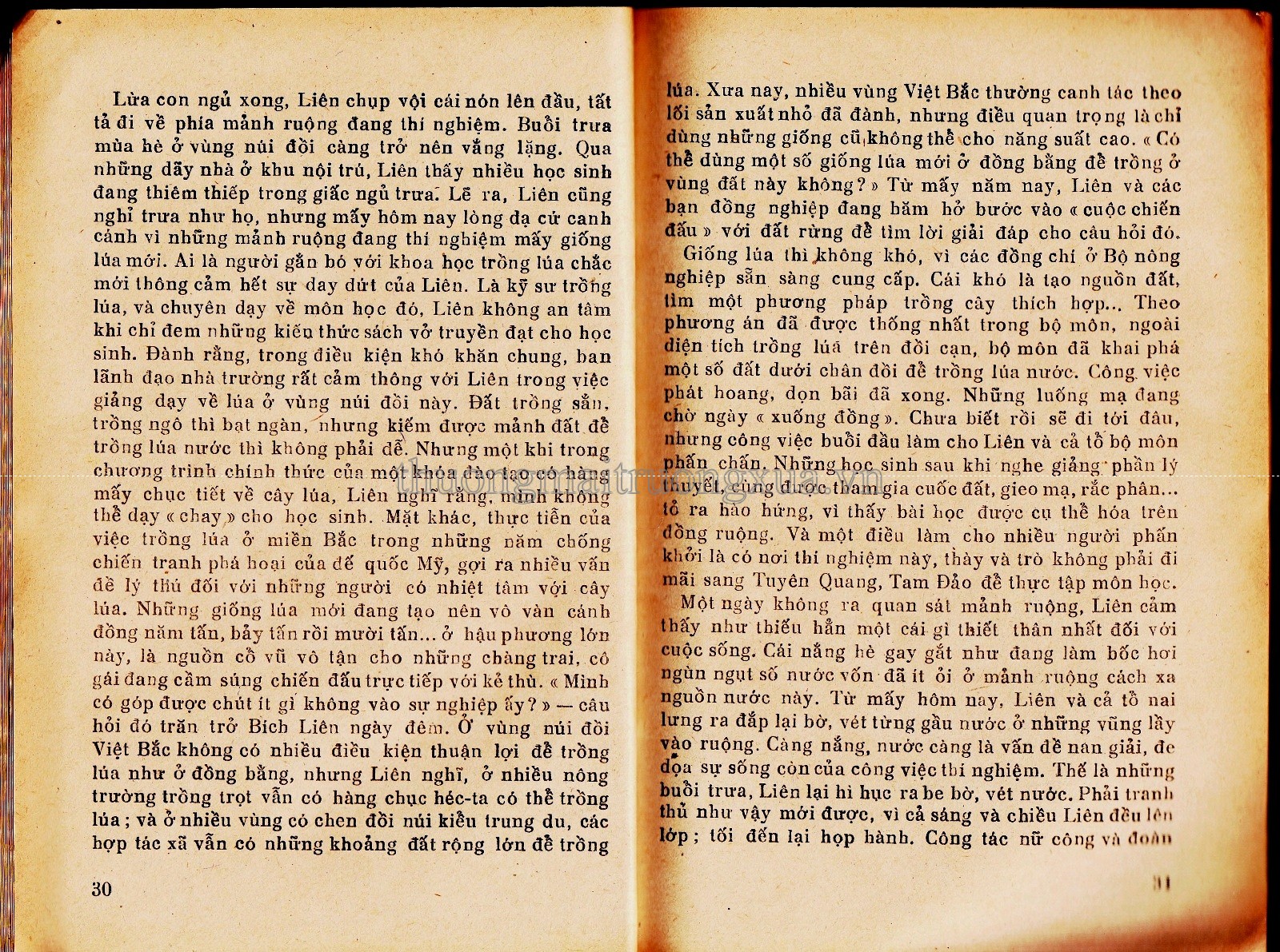 Chân trời xa (tập truyện ký - 1977) - Trang 15