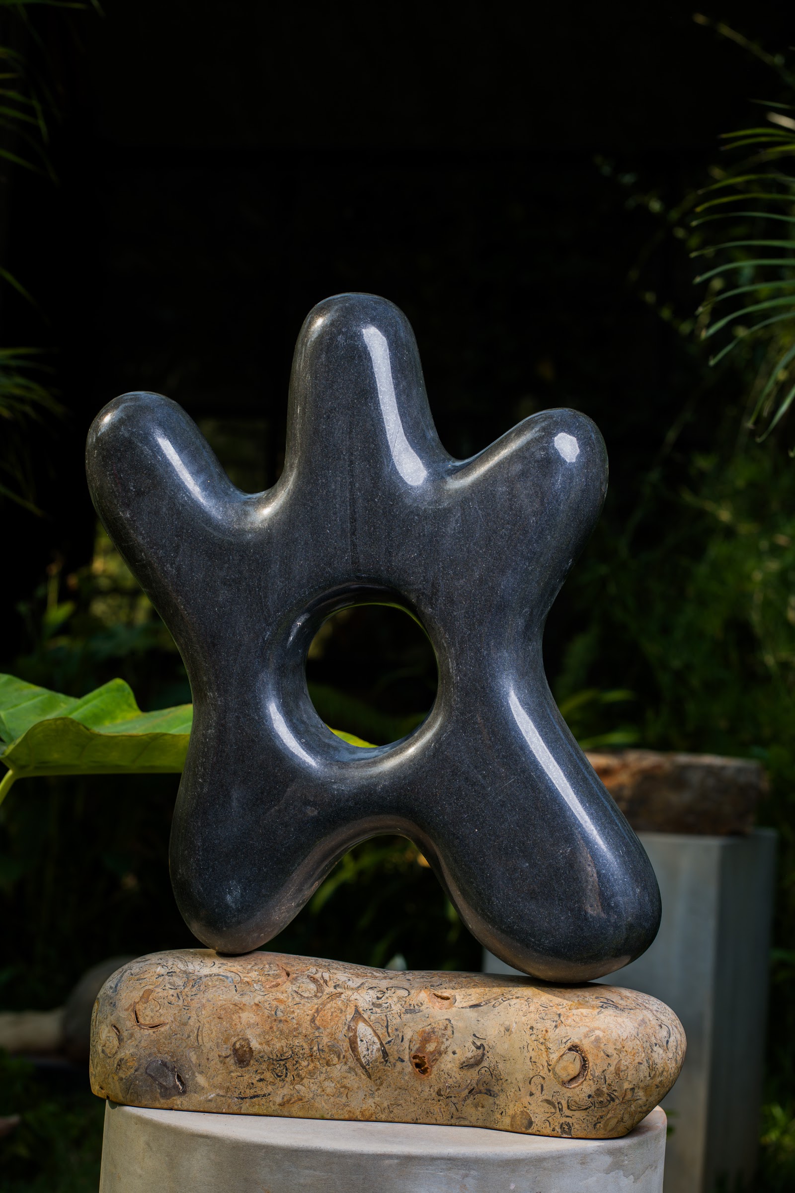Black Amoeba, studio view 5