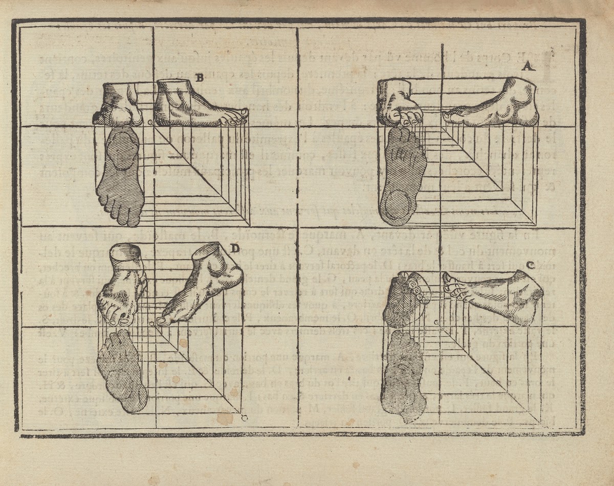 Lart de dessiner de Maistre Jean Cousin Pl12 1685