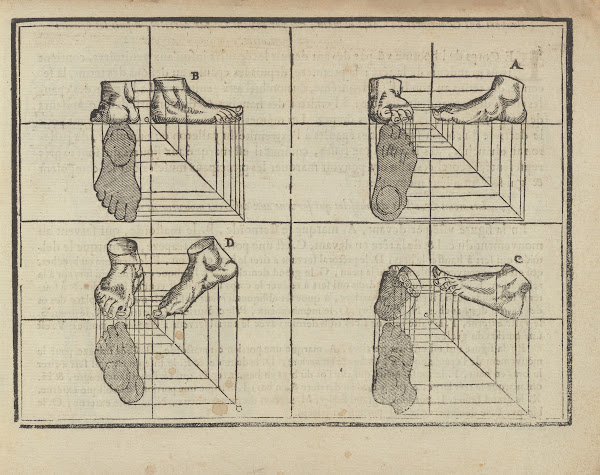 Lart de dessiner de Maistre Jean Cousin Pl12 1685