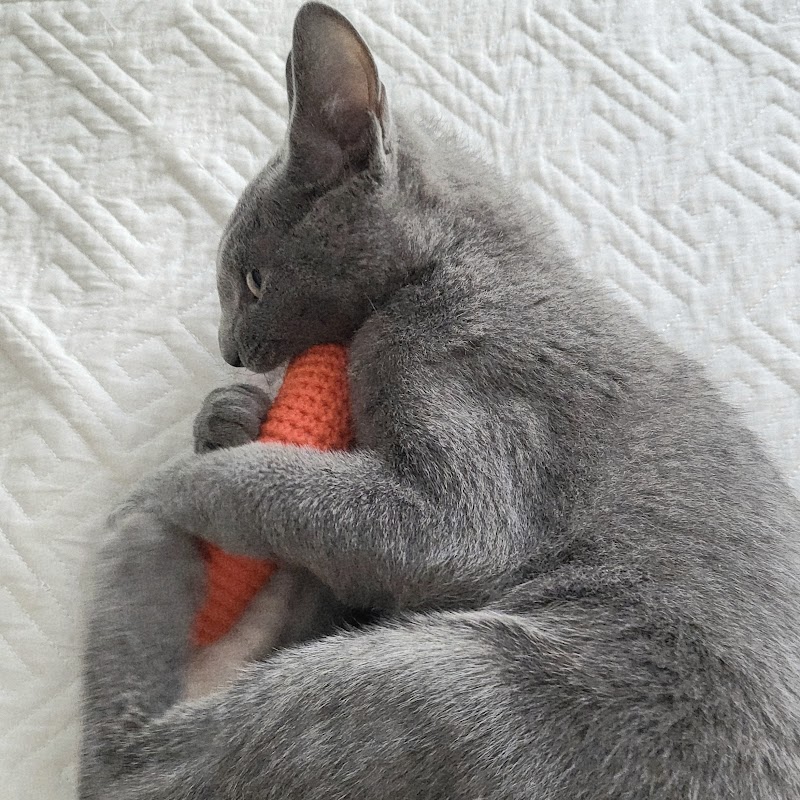 ไม่ใช่แค่ของใช้ แต่คือ 'งานศิลปะที่จับต้องได้': ปลดล็อกเสน่ห์งานถักโครเชต์ในยุคที่ใครๆ ก็อยากเป็นตัวเอง