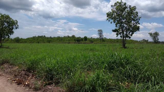 Fazenda na Cidade de Novo Acordo - TO 5