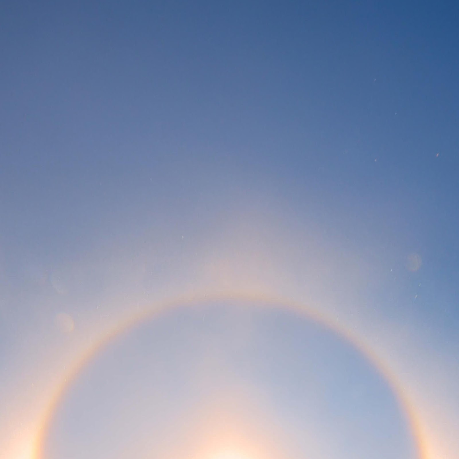 Download Sun Halo Over Snowy Forest 2K iPhone