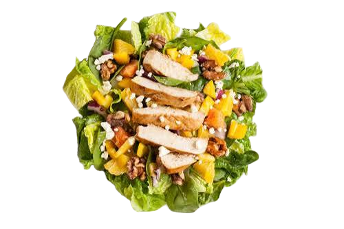 Nemek Special Chicken Salad