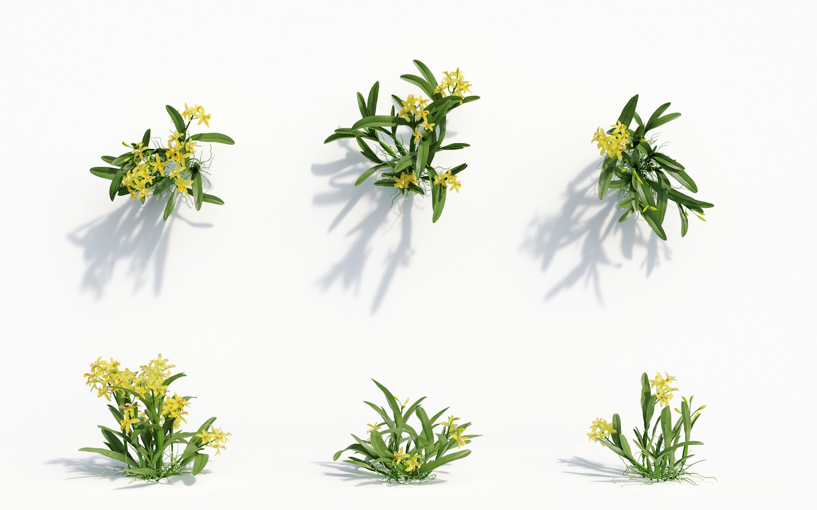 Maxtree - Plant Models Vol.8