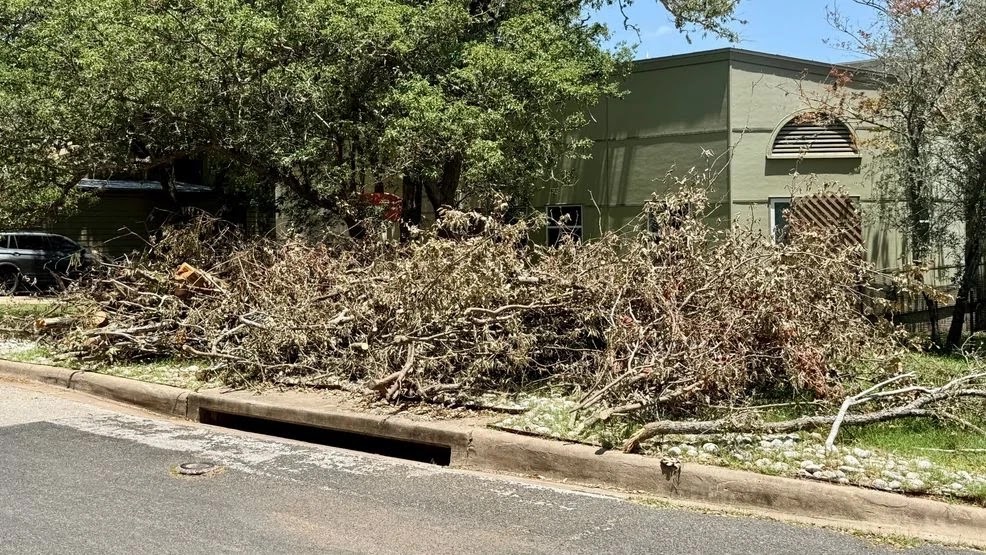 Large storm branches stacked loose and untied on the parkway, all running the same direction with cut ends toward the street.