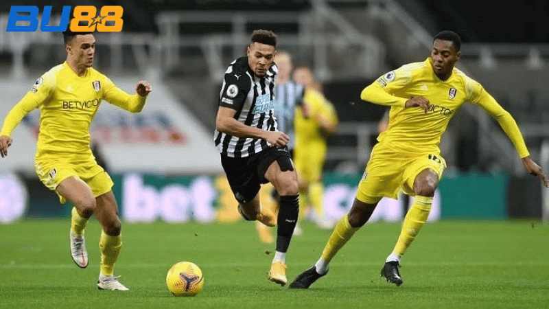 Phong độ gần đây của Newcastle- Fulham