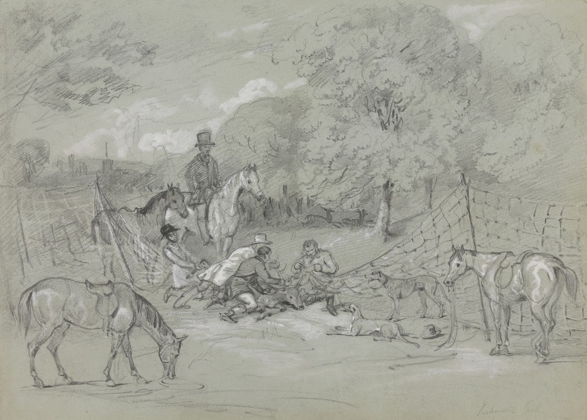 Netting Deer in Richmond Park