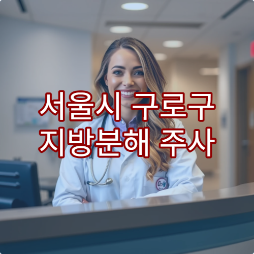 서울시 구로구 지방분해 주사 시술 가능한 병원과 비용 안내