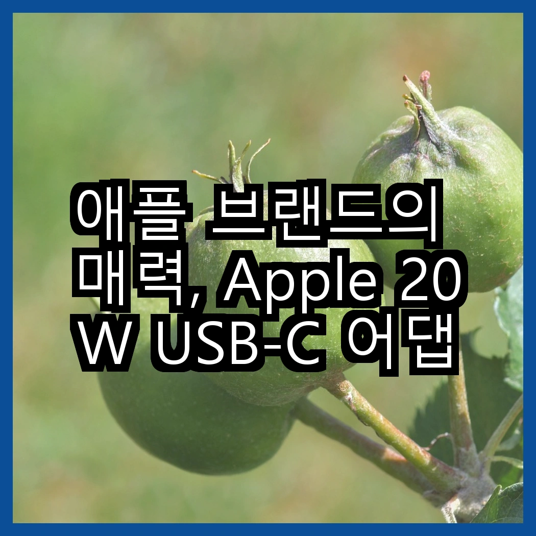 애플 브랜드의 매력, Apple 20W USB-C 어댑터와 애플펜슬 프로의 차이점은 무엇일까? 썸네일