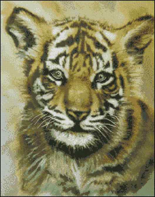 CMP 400634 Baby Tiger
