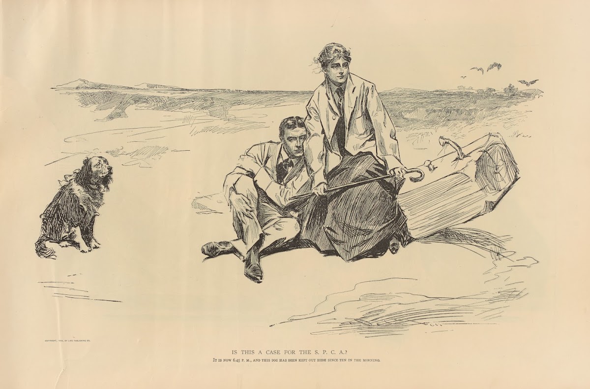 Is this a case for the S P C A 1893 1900