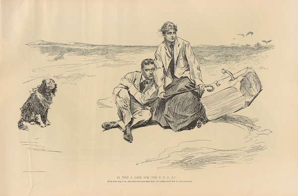 Is this a case for the S P C A 1893 1900