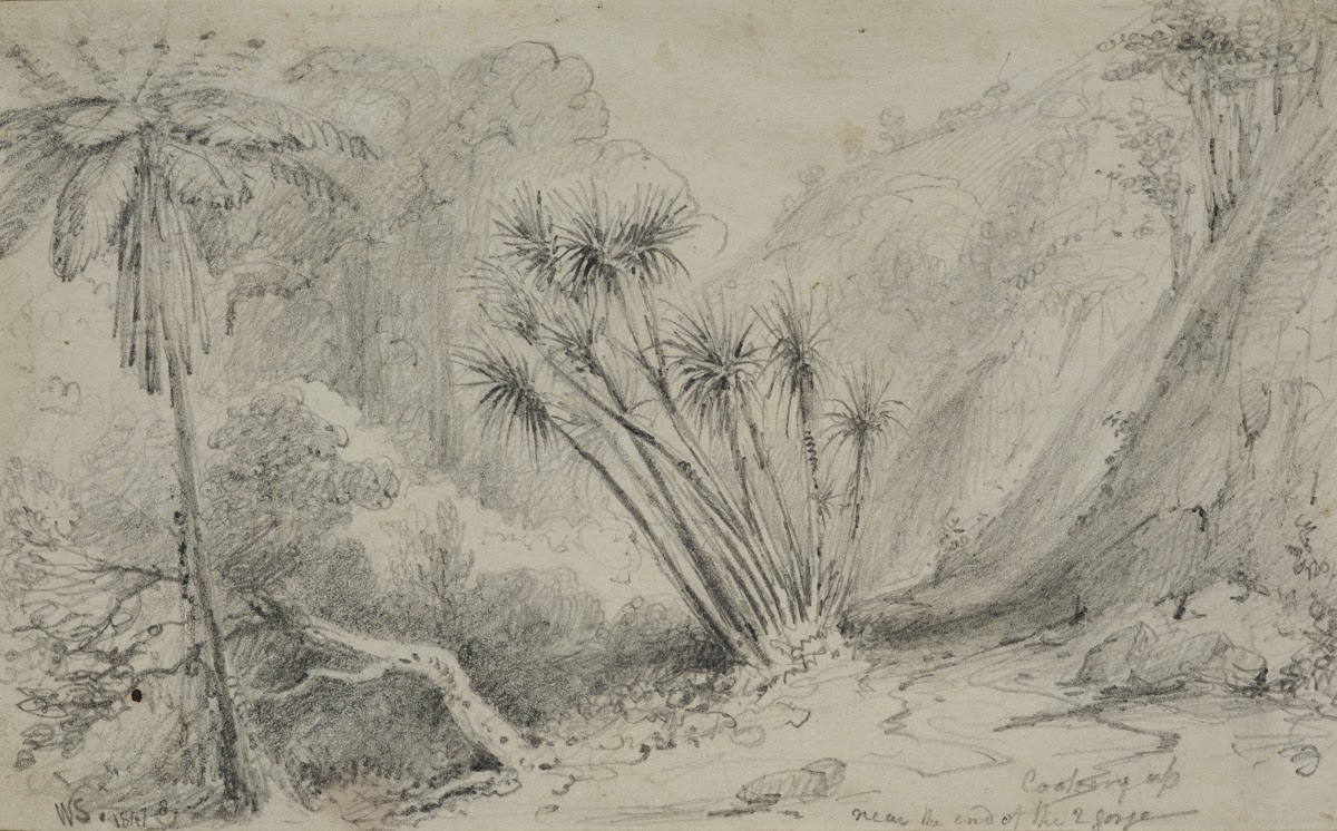 Looking up near the end of the 2nd Gorge 1847