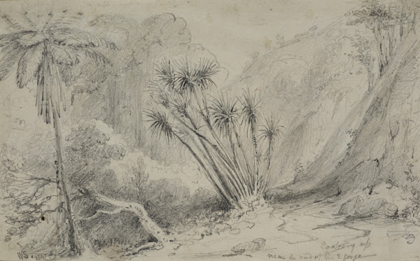 Looking up near the end of the 2nd Gorge 1847
