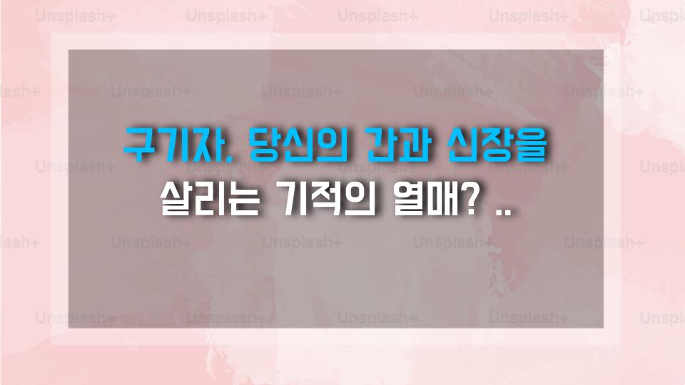 구기자, 당신의 간과 신장을 살리는 기적의 열매? 팩트로 확인하세요