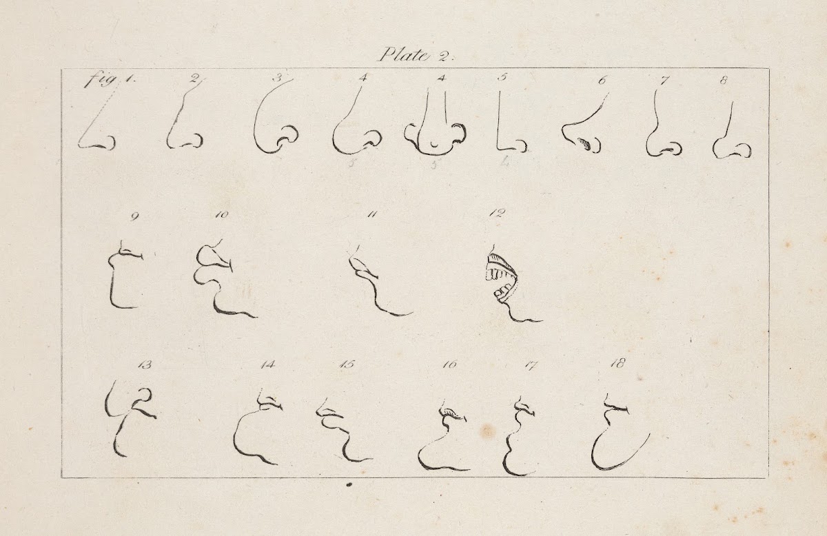 Eighteen studies of facial features