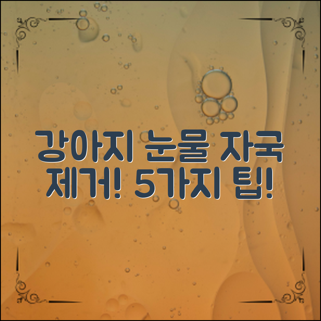 강아지 눈물 자국 제거, 5가지 효과적인 팁!