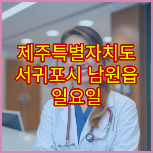 제주특별자치도 서귀포시 남원읍 일요일 문 여는 약국·당직약국 정보