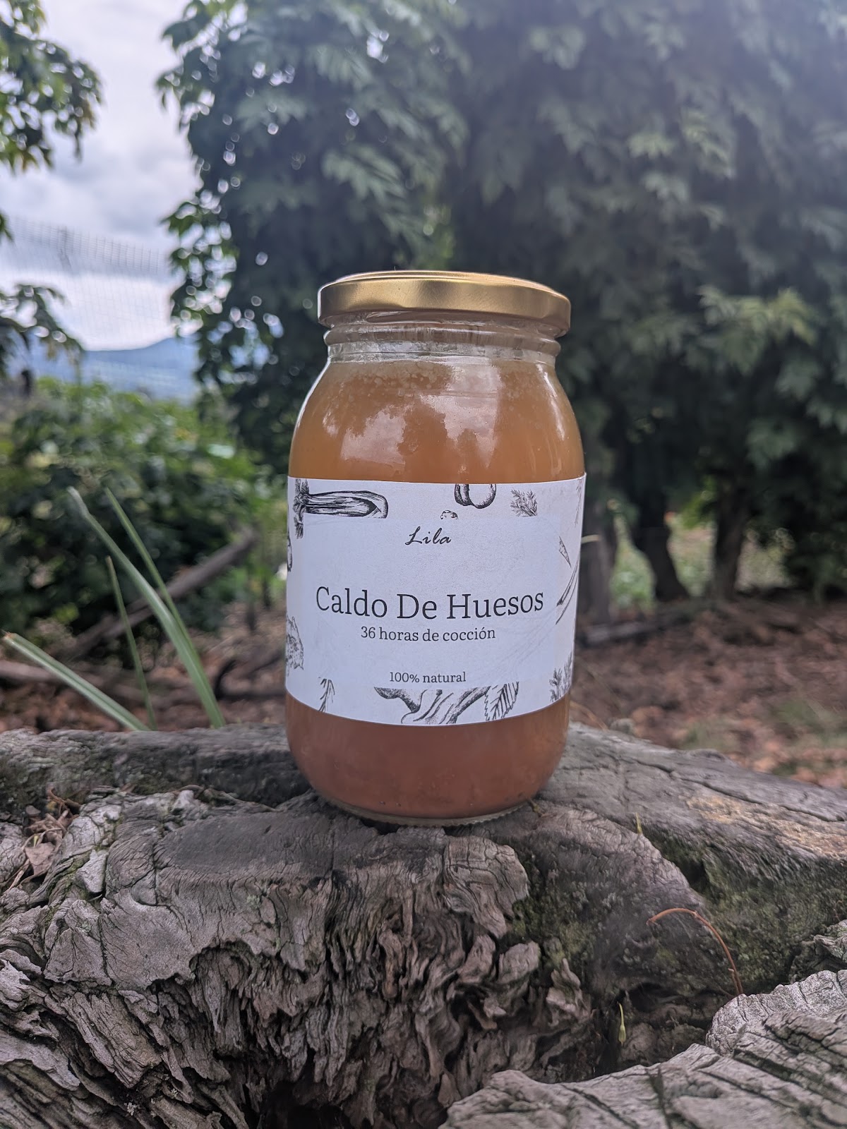Comprar Caldo de hueso orgánico