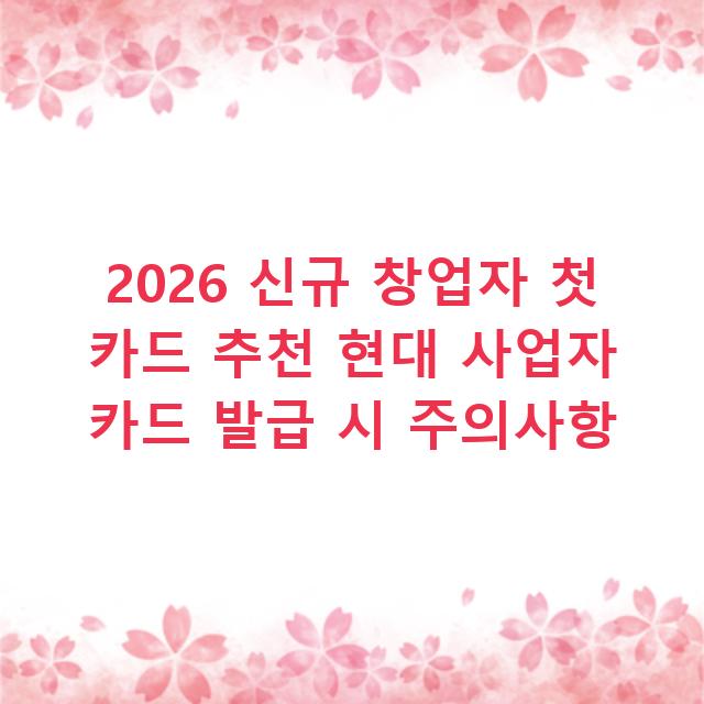 2026 신규 창업자 첫 카드 추천 현대 사업자 카드 발급 시 주의사항