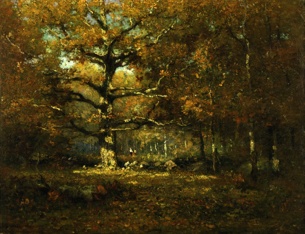Connecticut Woods 1899